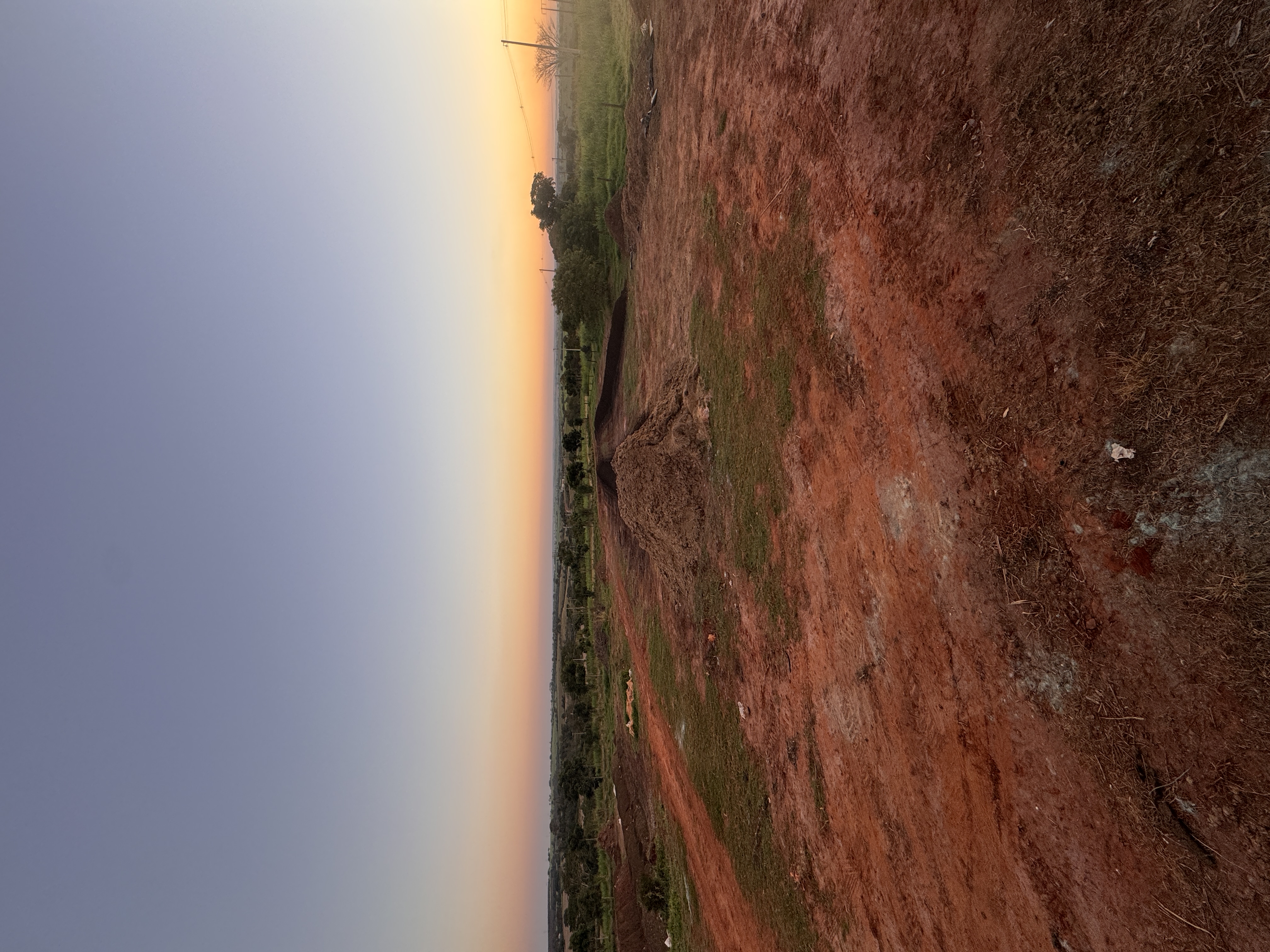 Vista do Sítio Aurora, em Nova Granada – SP: campo aberto onde a Terra Vegetal é produzida
